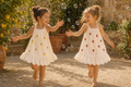 Limone Terry Dress