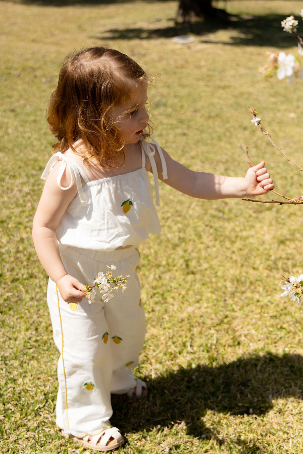 Limone Bubble Set